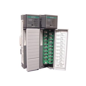 Allen Bradley SLC500 System Analog Output Module 1746NO8I