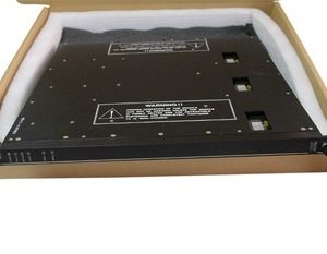 Triconex Dcs Systerm Systerm 230VAC 24VDC Control Systerm 3007