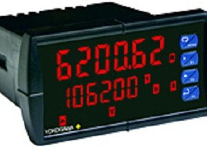 YPP6200 Analog Input Flow Rate/Totalizer