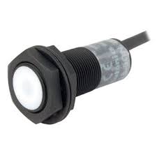 Autonics Proximity Sensor PRA30-10DN2