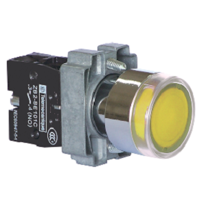 Schneider Push Button XB2BW35B1C