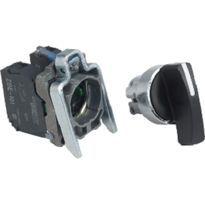 Schneider Selector Switch XB4BJ53