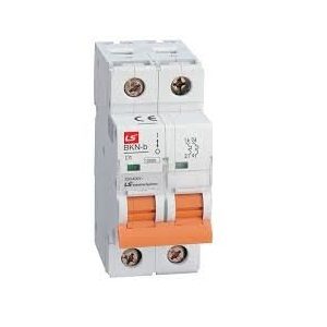 LS Miniature Circuit Breaker BKN 2P 16A