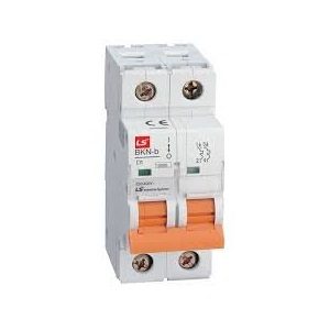 LS Miniature Circuit Breaker BKN 2P 32A