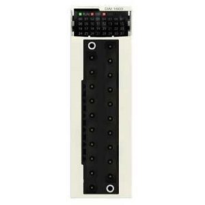 Schneider Electric BMXDAI1603